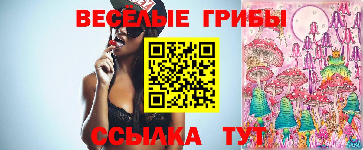 Галлюциногенные грибы ЛСД  Вход с VPN  Истра  Псилоцибиновые грибы мухоморы 